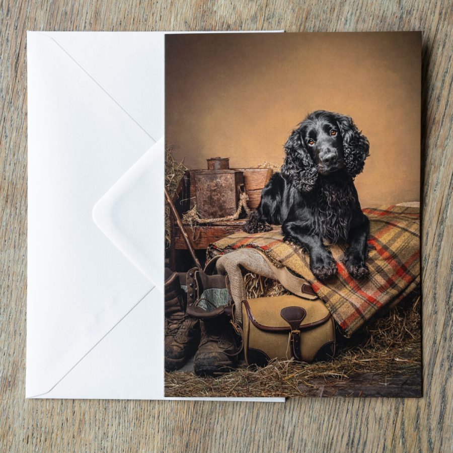 Black Cocker Spaniel A5 greeting card