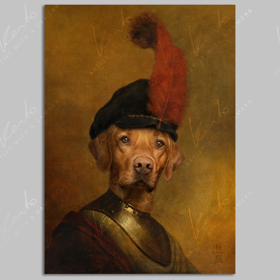 Portrait of Labrador, "A Knights Tale" fine art print - Image 6