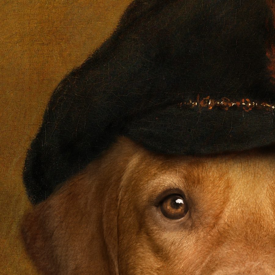 Portrait of Labrador, "A Knights Tale" fine art print - Image 4