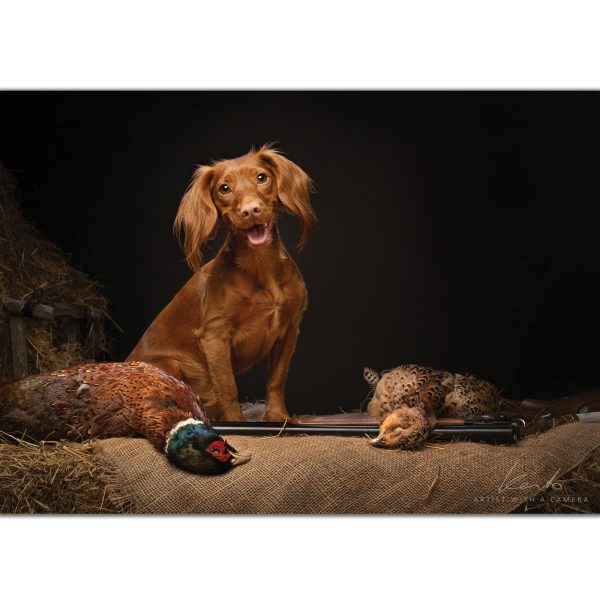 a-legacy-in-the-making-field-sports-still-life-kerto-cocker-spaniels-dead-pheasants-greeting-card