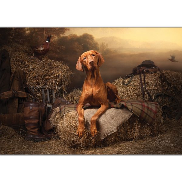 country-soul-viszla-field-sports-kerto-shooting-theme-greeting-card