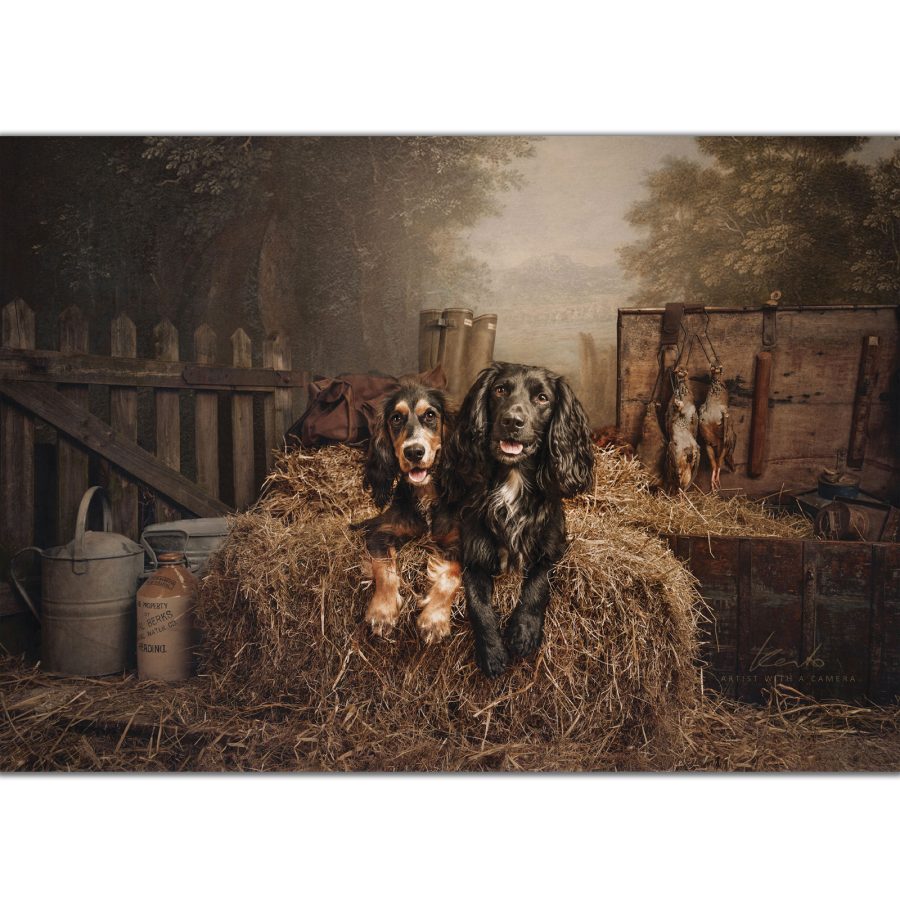 Gundogs After Work - Image 1