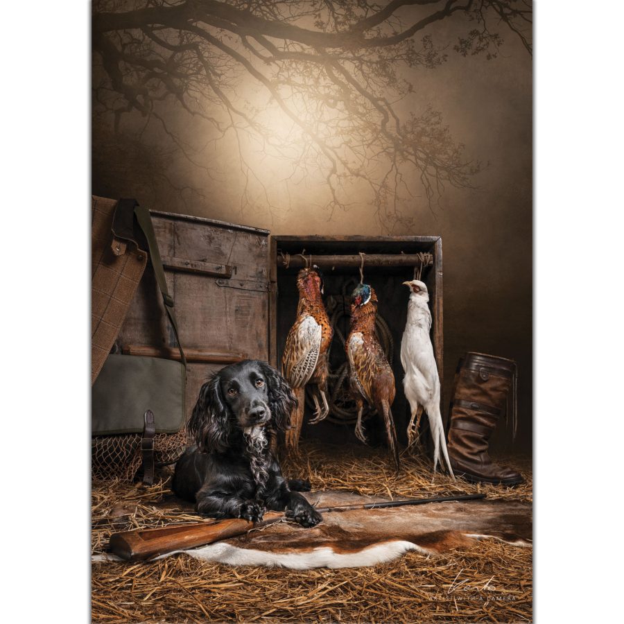 Gundog's pride - Image 1
