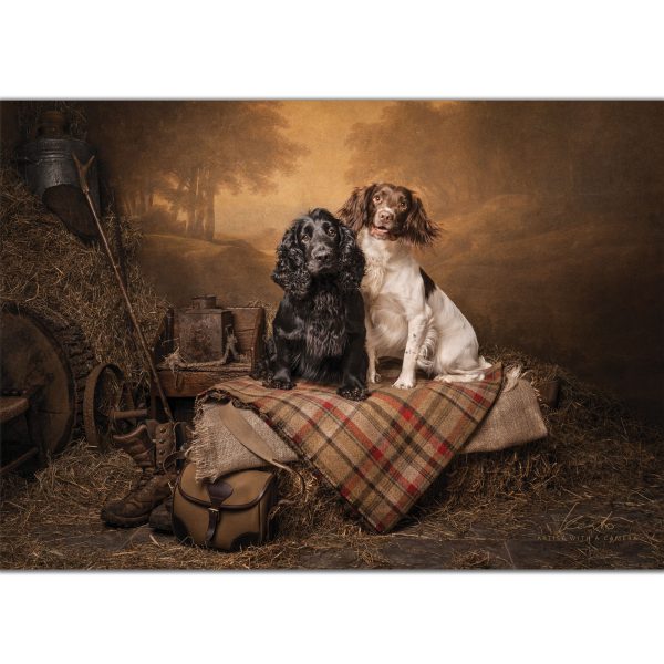 gundogs-ready-for-spaniels-kerto-shooting-theme-greeting-card