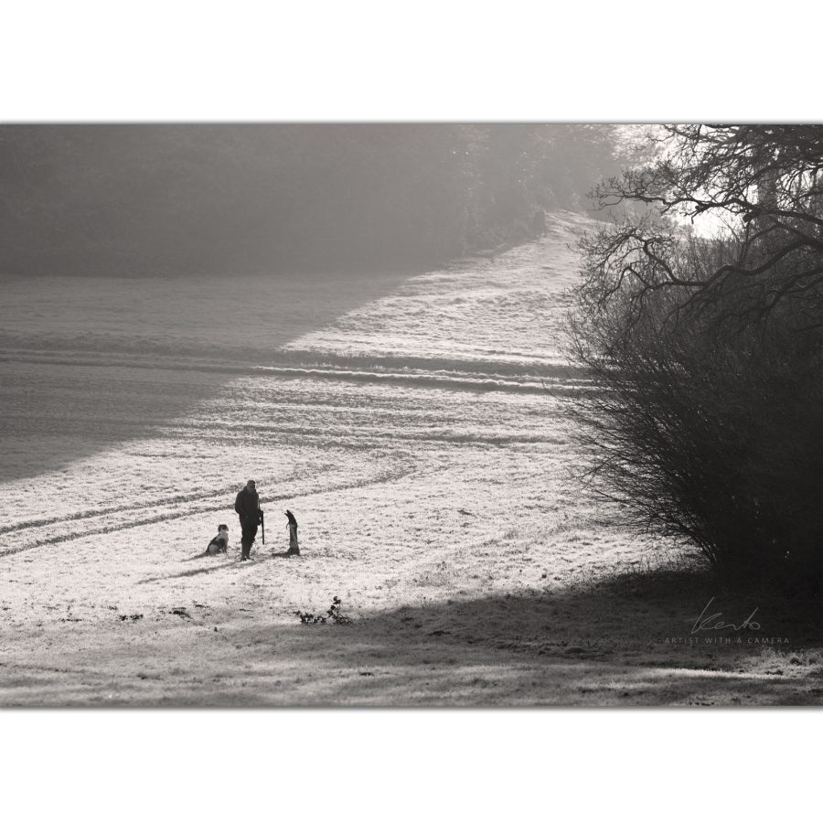 On The Peg - Image 1